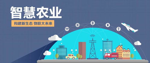 物聯(lián)網(wǎng)技術在傳統(tǒng)農(nóng)業(yè)轉(zhuǎn)型中的挑戰(zhàn)與服務路徑探索