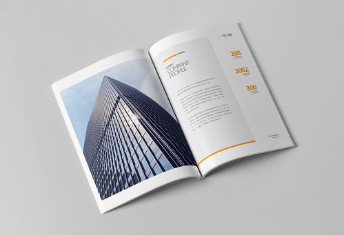 簡約大氣，專業(yè)信賴 商務(wù)咨詢與投資企業(yè)公司畫冊